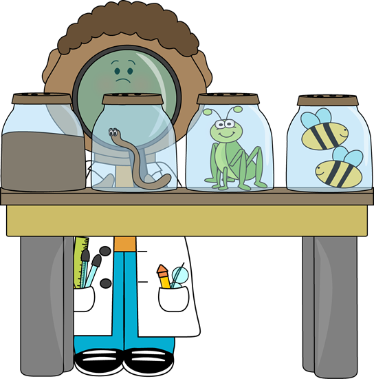 Scientist Inspecting Insects - Insect Scientist Clipart (544x550)