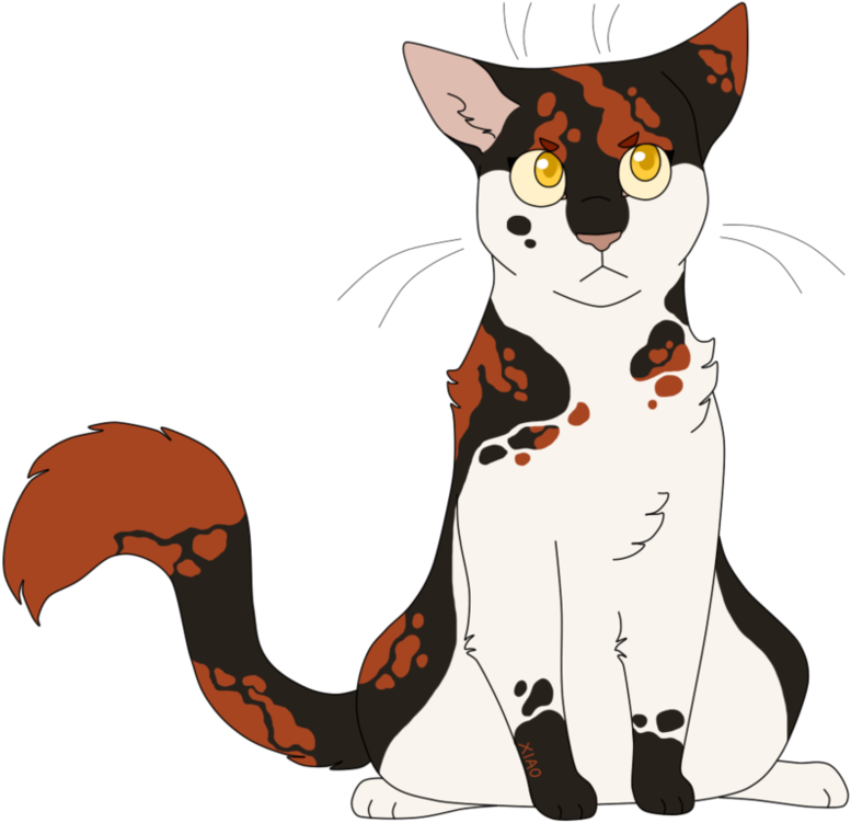 Sun Shadow Warriors (999x799)