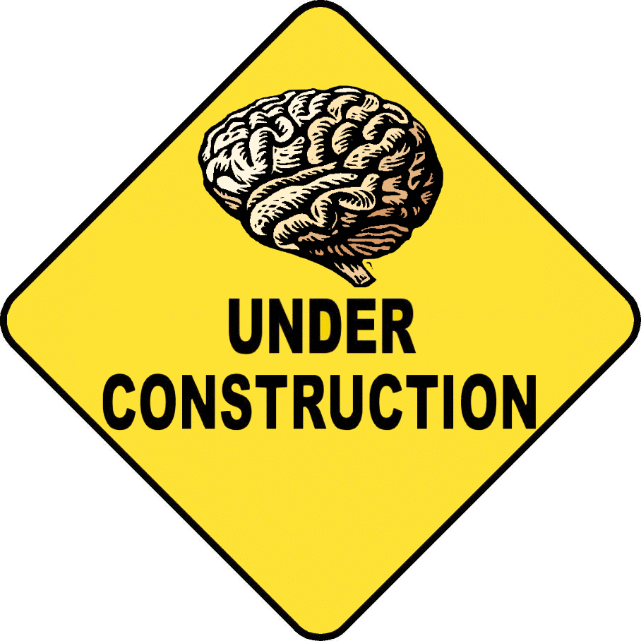 Under Construction. Under Reconstruction. Careful Construction. Owl under Construction.