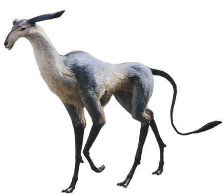 Thumbnail For Version As Antelope 4 Png - Final Fantasy Xiv Online (489x400)