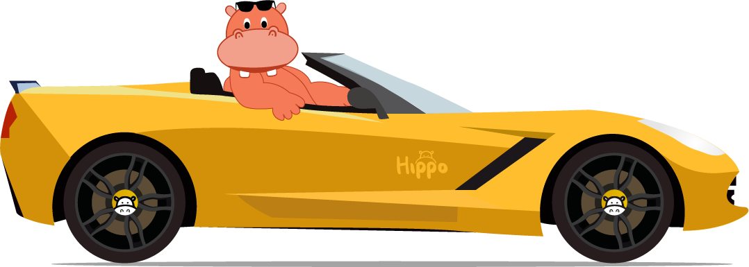 Hippo Video Facts - Cartoon (1078x385)