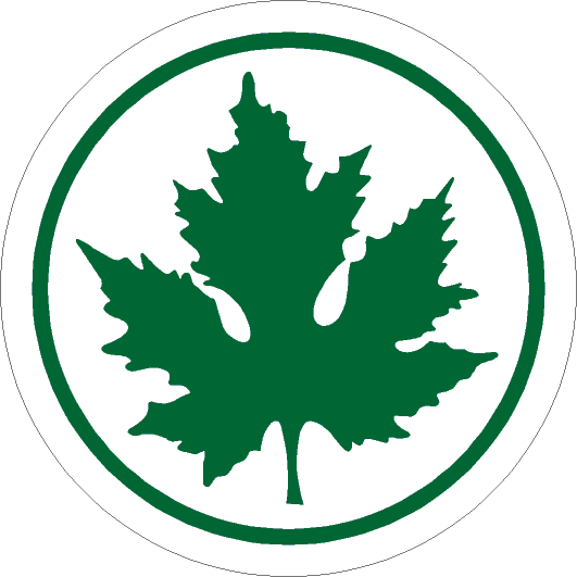 Naklejka Zielony Listek - Sticker (531x531)