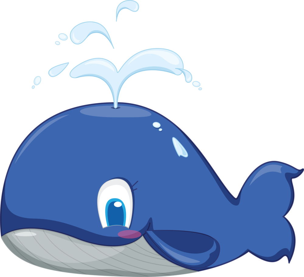 Kuthathu - Ballena De Color Azul (999x908)