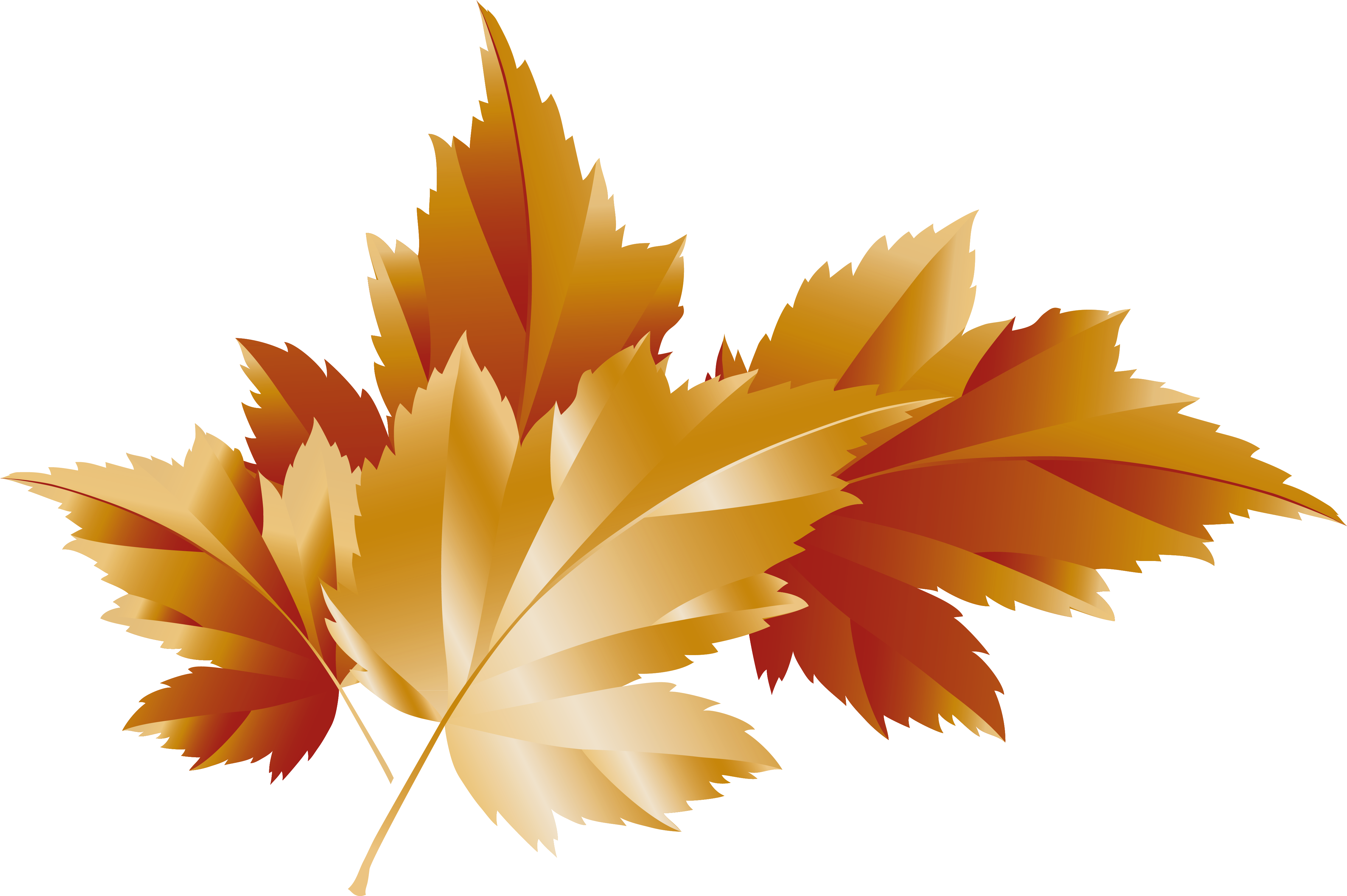 Fall Transparent Leaves Decor Picture - Maple Leaf (4773x3308)