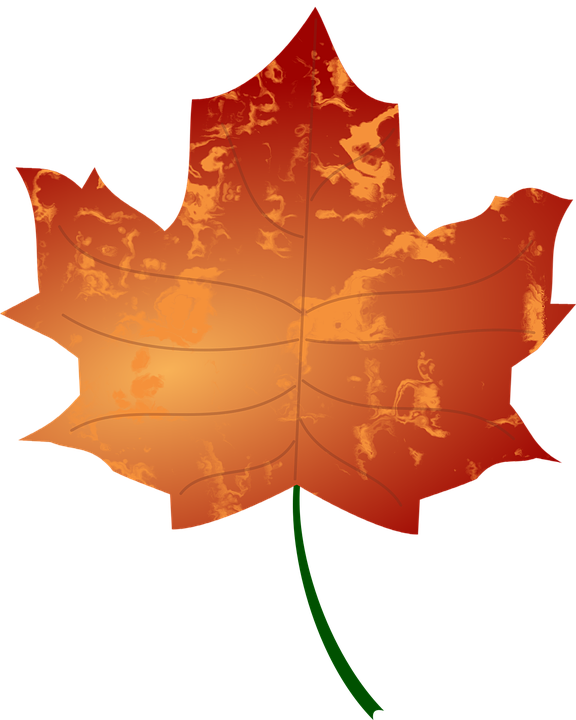 Falling Leaves Clipart 27, Buy Clip Art - Autumn Leaves Clip Art (576x720)