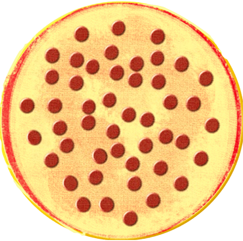 28 Collection Of Pizza Clipart Fractions - Fraction Pizza (815x810)