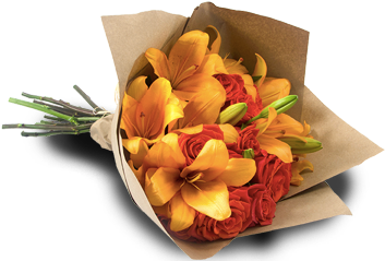 Extreme Passion Orange - Rose (382x382)