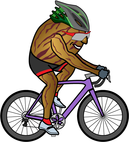 The Nut Roll - Cyclo-cross (600x634)