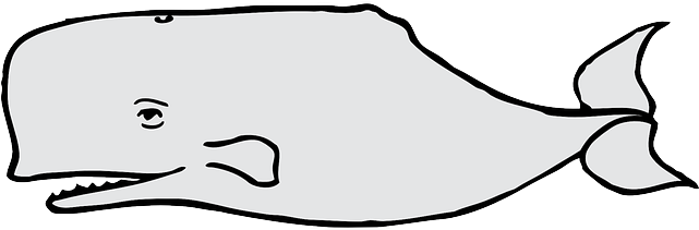 Animals, Water, Large, Big, Mammals, Ocean, Whale - Dibujos De Ballena Gris (640x320)