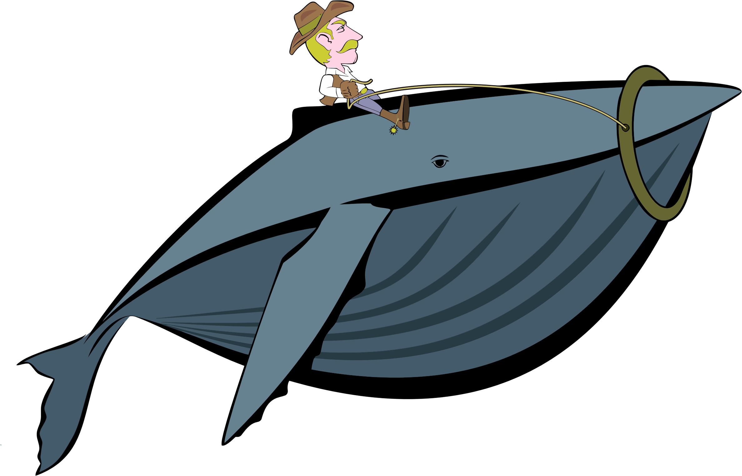 Big Image - Whale Cowboy (2376x1525)