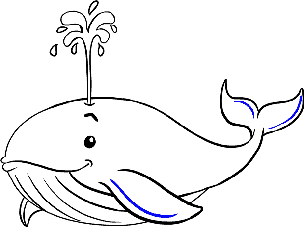 How To Draw A Whale In A Few Easy Steps - Draw A Whale Easy (678x600)