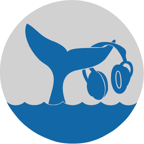 Whale Radio Logo - Cafepress Headphones Rock Rectangle Magnet (501x501)