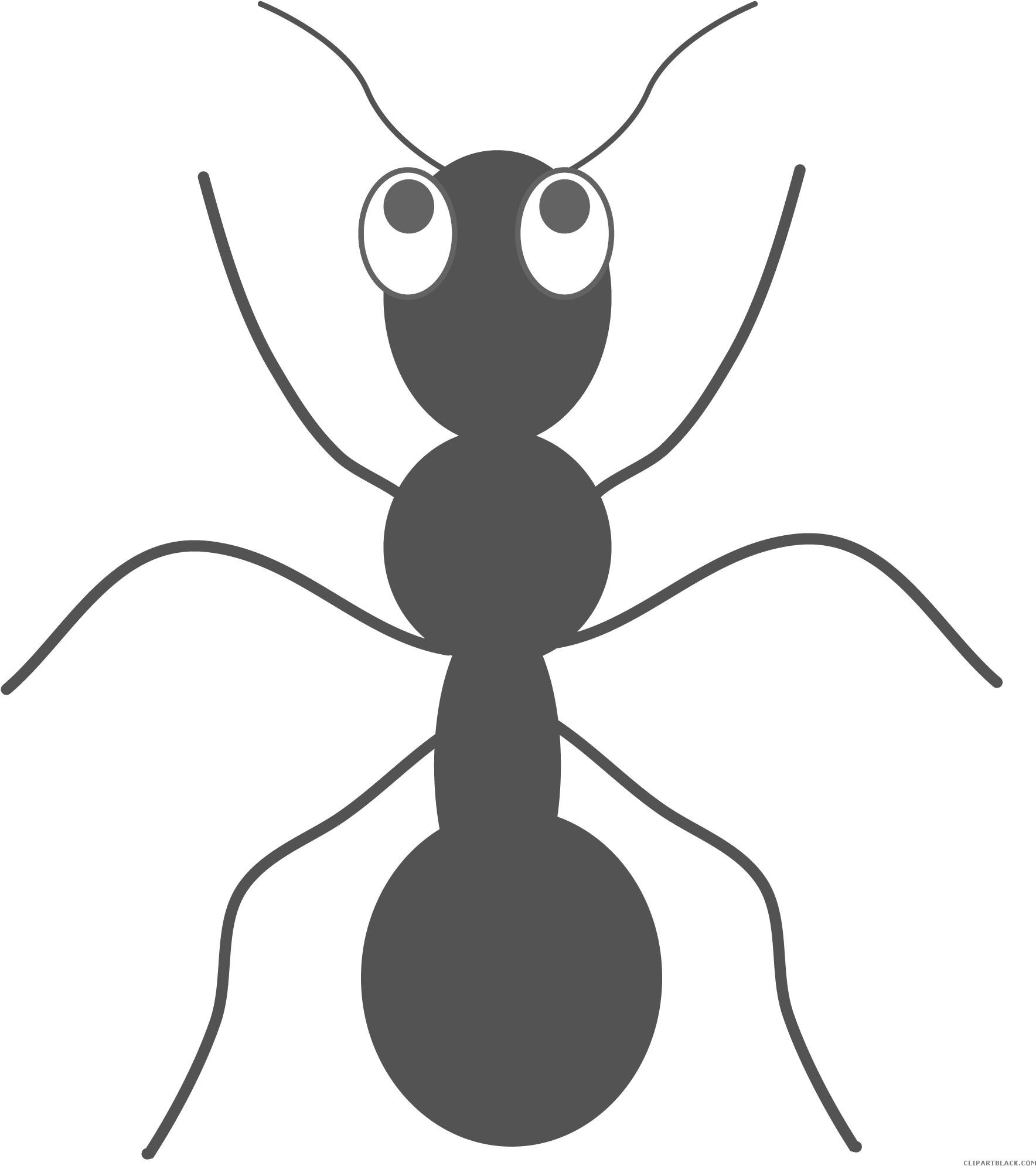 Black And White Ants Animal Free Black White Clipart - Ant Clip Art Free (1860x2048)