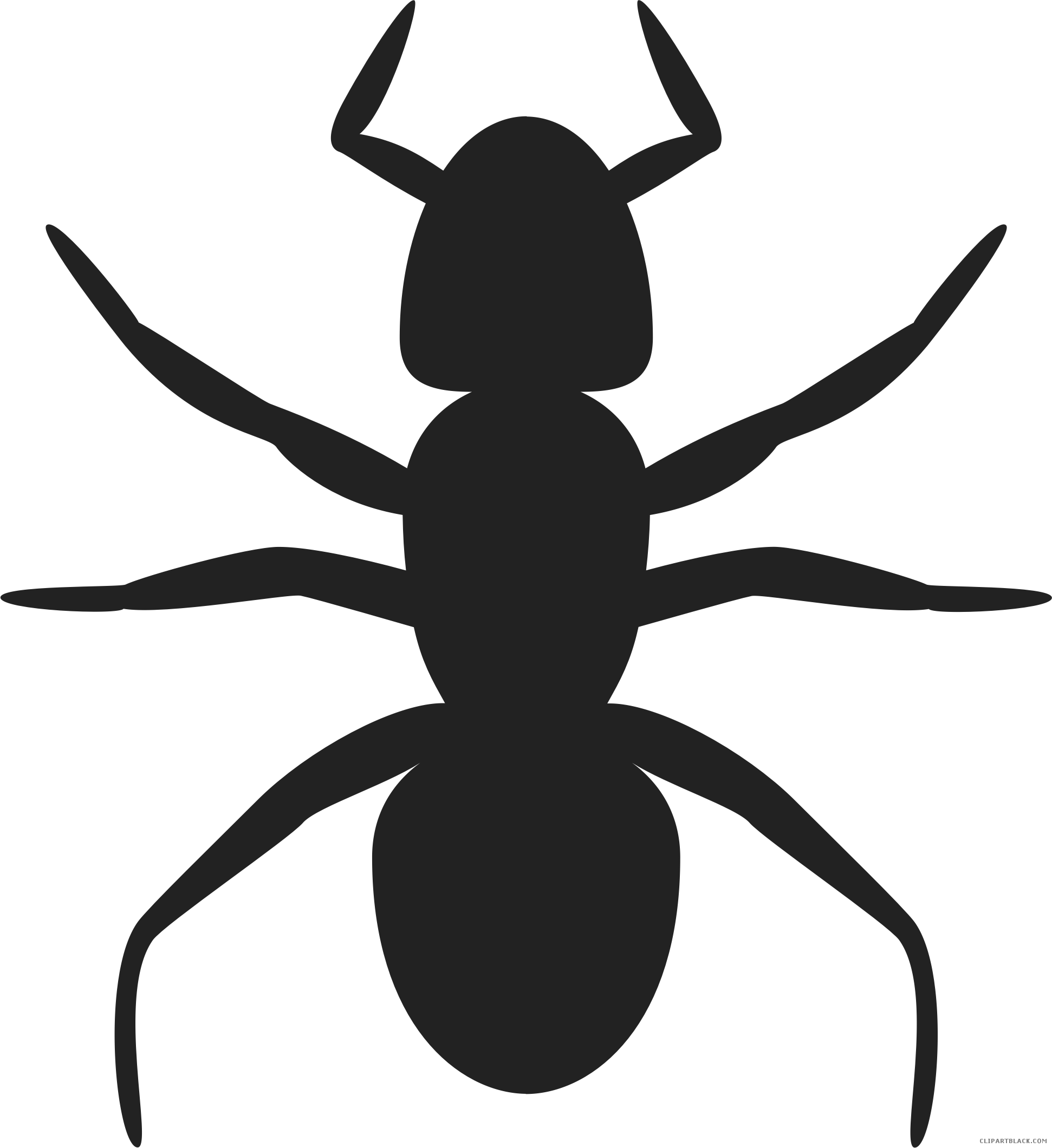 Black And White Ants Animal Free Black White Clipart - Vector Ant (1942x2120)