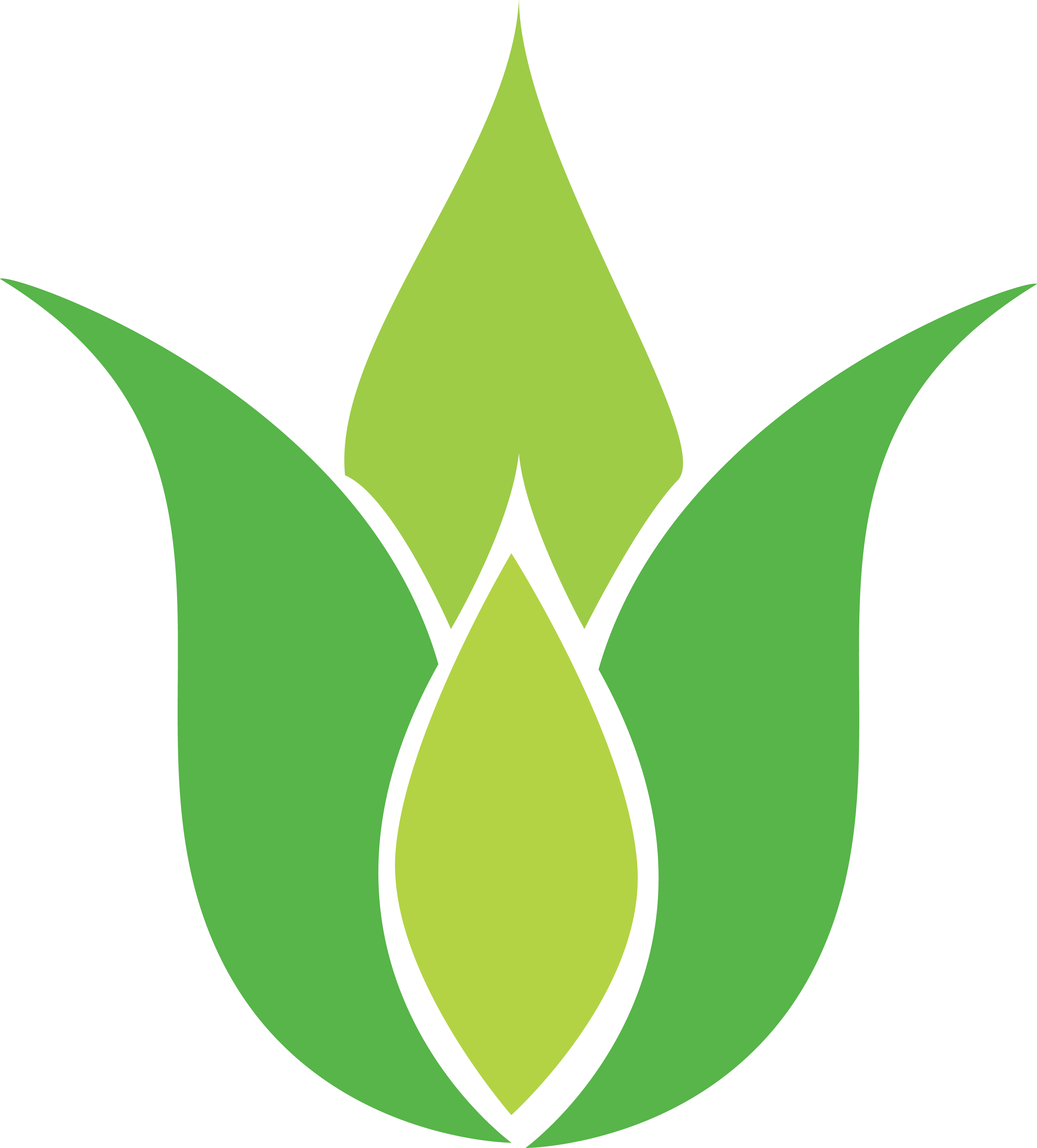 Png Coloured - Lotus Png Symbol Green (3182x3523)