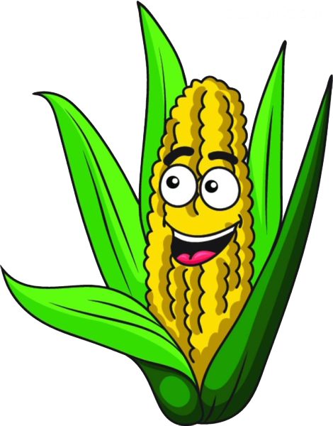 Corn On The Cob Maize Sweet Corn Cartoon - Corn With Smiley Face (470x600)