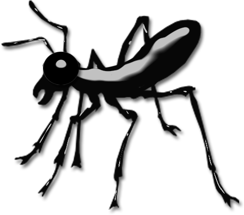 Nm Ant - Carpenter Ant (512x512)