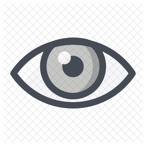 View Icon - Eye Shopping Icon (512x512)