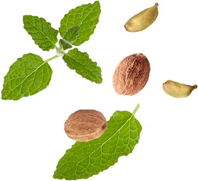 Organic Black Tea Leaves, Organic Cardamom, Organic - Plant Pathology (400x400)