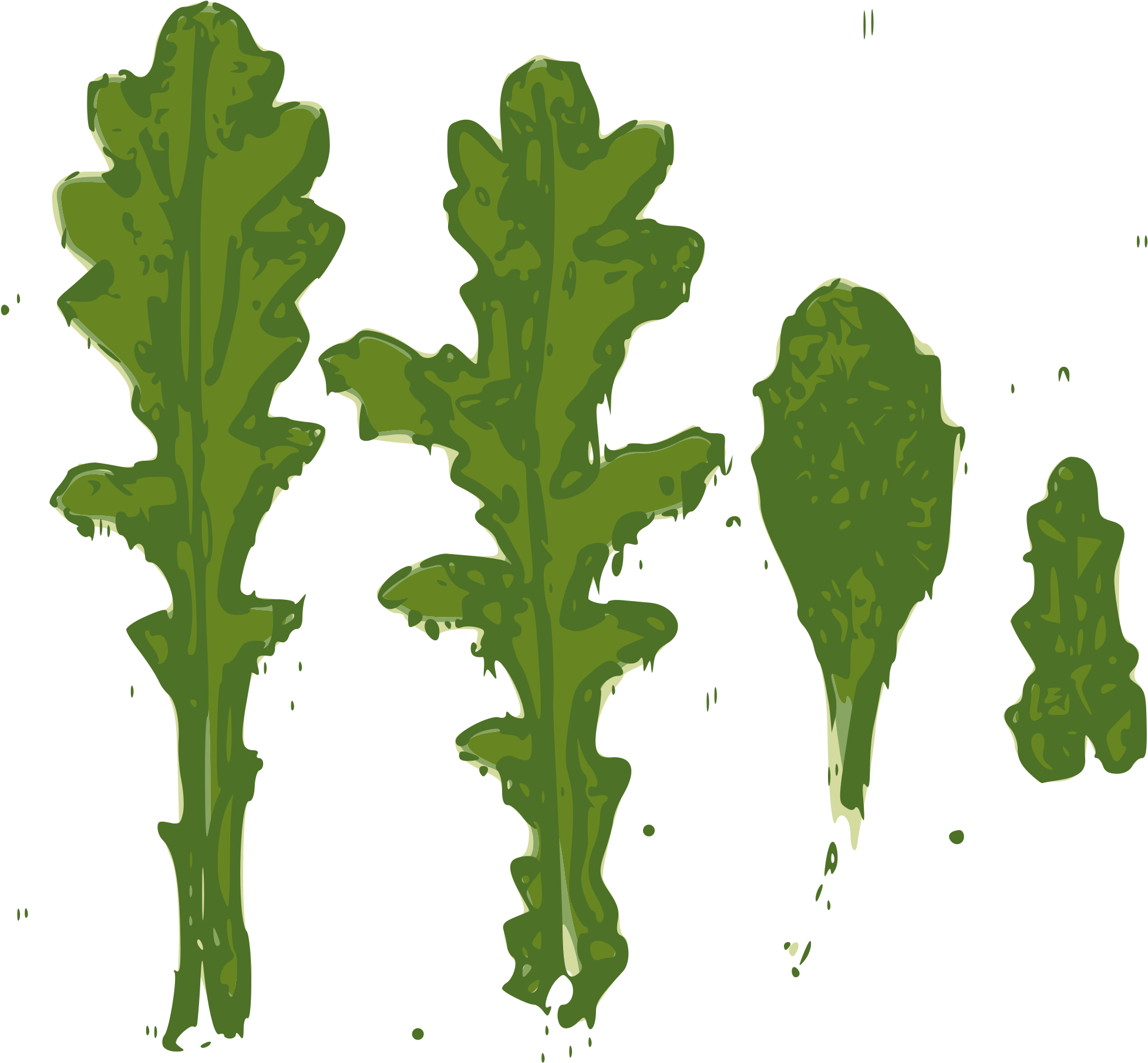 Open - Mustard Greens (2000x1887)