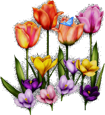 Spring Flower Animated Gif Good Morning - Thank You Image For Animation (400x386)