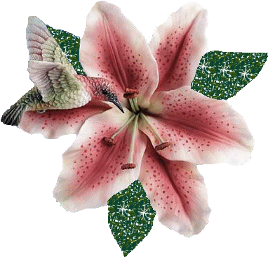 Desgarga Gratis Los Mejores Gifs Animados De Flores - Flor Gif (400x400)