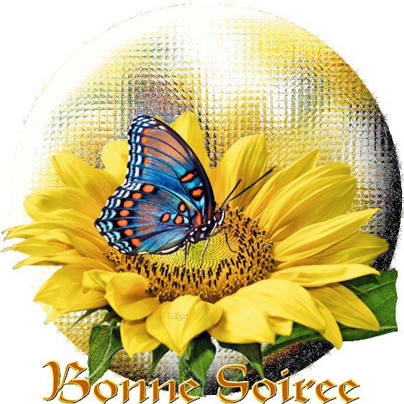 Bonne Nuit Femmes Papillions Gifs Centerblog - Rikki Knight Blue Butterfly On Sunflower Design Protective (625x625)