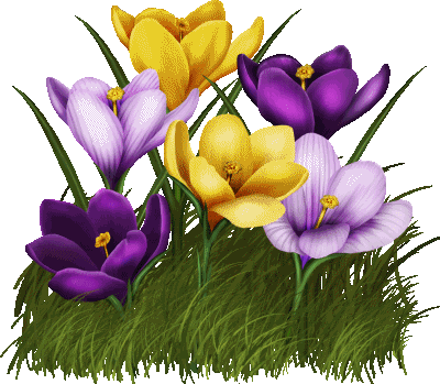 Spring Pictures With Butterflies - Spring Flowers Animated Gif (800x699)