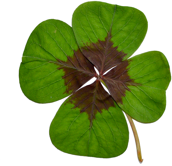 Four-leaf Clover, Luck, Green, Nature - Photography (711x720)
