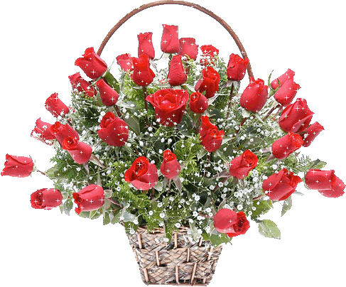 Fotografie Animată - Garden Roses (487x404)
