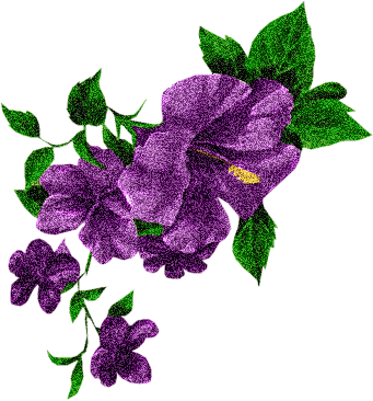 Attractive Flower Graphic - Purple Flower Animated Gif (341x366)