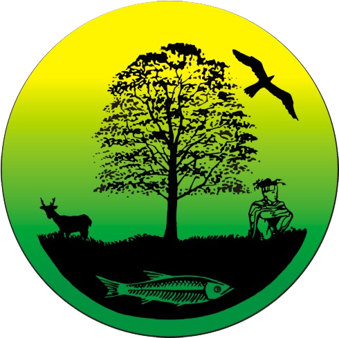 Recognizing The Wondrously Complex And Dynamic Connections - Everything Is Connected To Everything Else Ecology (500x500)