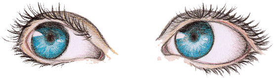 Eyes Clipart Tumblr - Eyes With No Background (600x300)