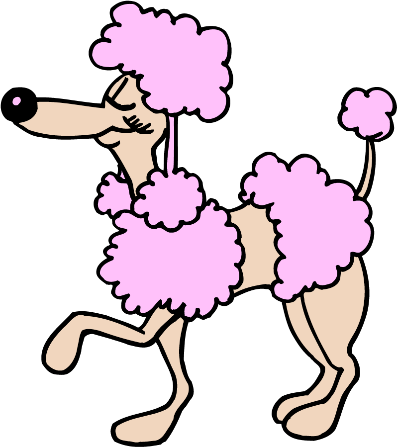 Poodle Clipart - Cartoon Poodle Transparent (806x900)