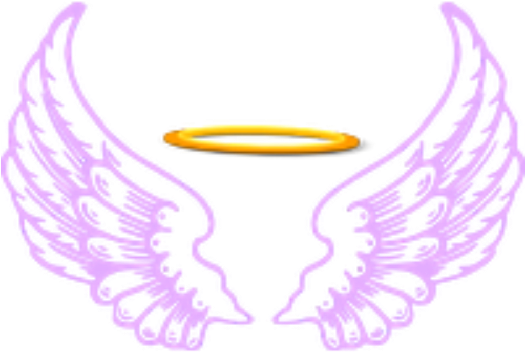 Ftestickers Fantasyart Angel Wings Halo Purple - Angel Wings And Halo Png (1024x1024)