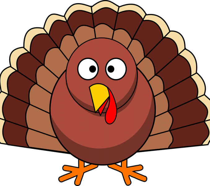 Turkey Bird Clipart Turkey Thanksgiving Poultry Free - Thanksgiving Day In Spanish (678x600)