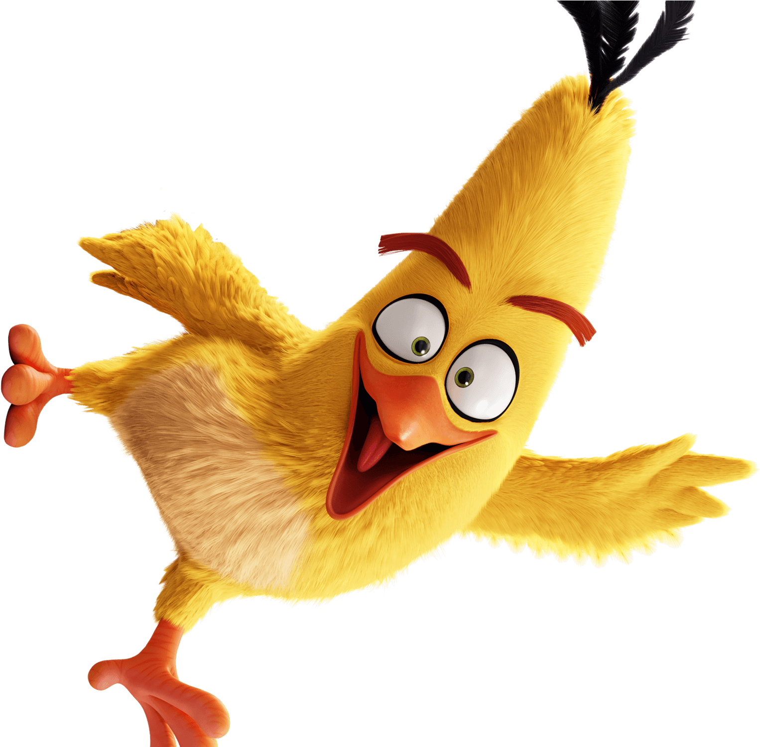 Chuck - Angry Birds Movie Chuck (1534x1500)