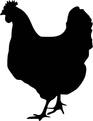 Grilled Chicken And Turkey 80 ˚c - Chicken Svg Free (308x400)
