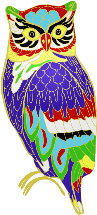 The Colourful Owl Of Madness By Kristalstittle - Colourful Owl (800x800)