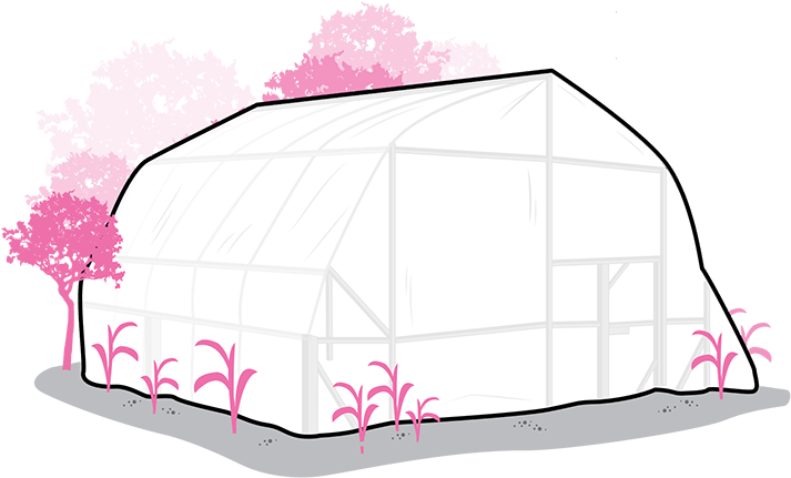 Agriculture, Summer - Tent (712x500)