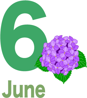 For Download Free Image - French Hydrangea (480x480)