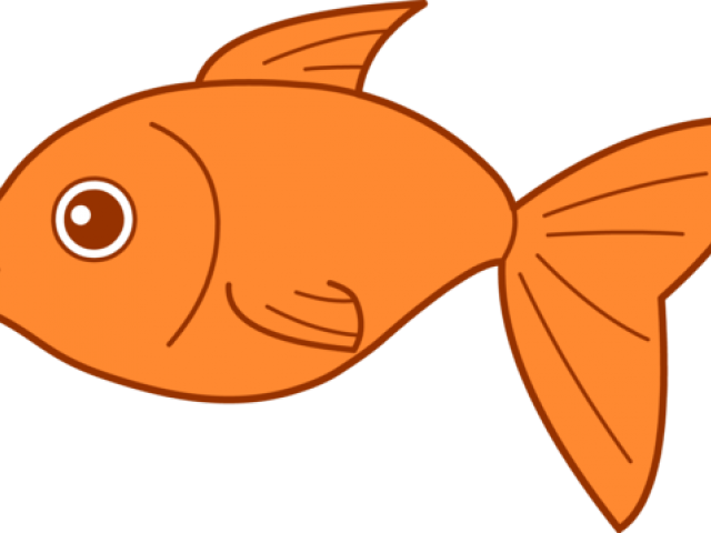 Goldfish Clipart Transparent - Fish Clipart (640x480)