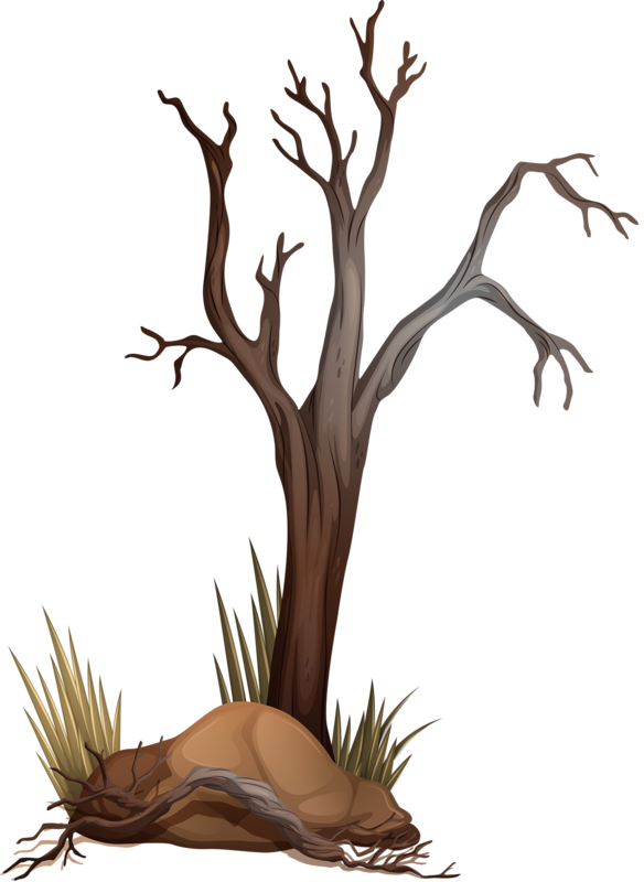 Rvore Seca 2 Trees Branches And Leaves Pinterest Clip - Png Arvore Seca (584x800)