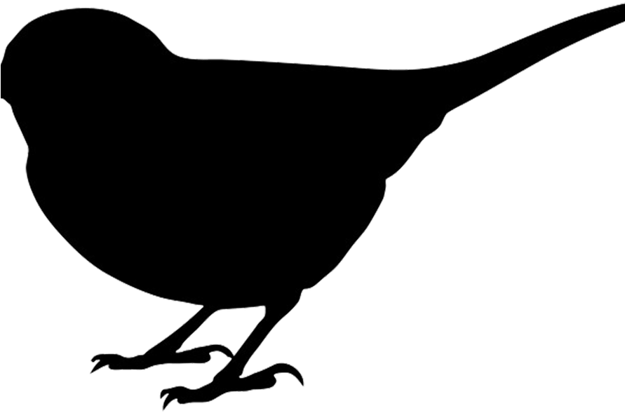 Bird Silhouette Cliparts - Bird Silhouette Clipart (890x700)