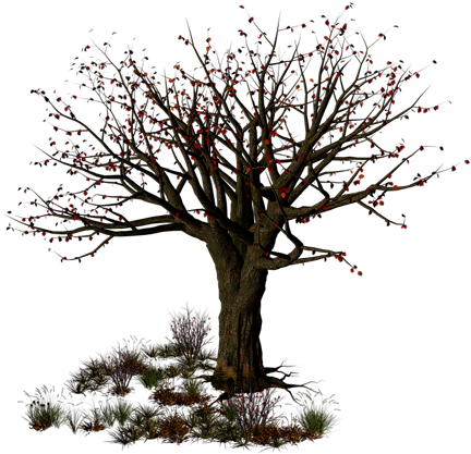 Tree Computer Icons Halloween Clip Art - Arboles Halloween Png (600x424)