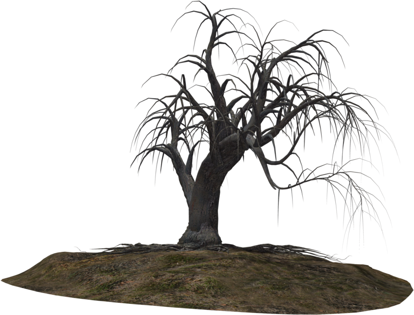 Creepy Tree 21 By Wolverine041269 On Clipart Library - Creepy Tree 21 (1024x639)