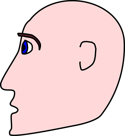 Eyes,guy - Cartoon Side Profile (500x542)