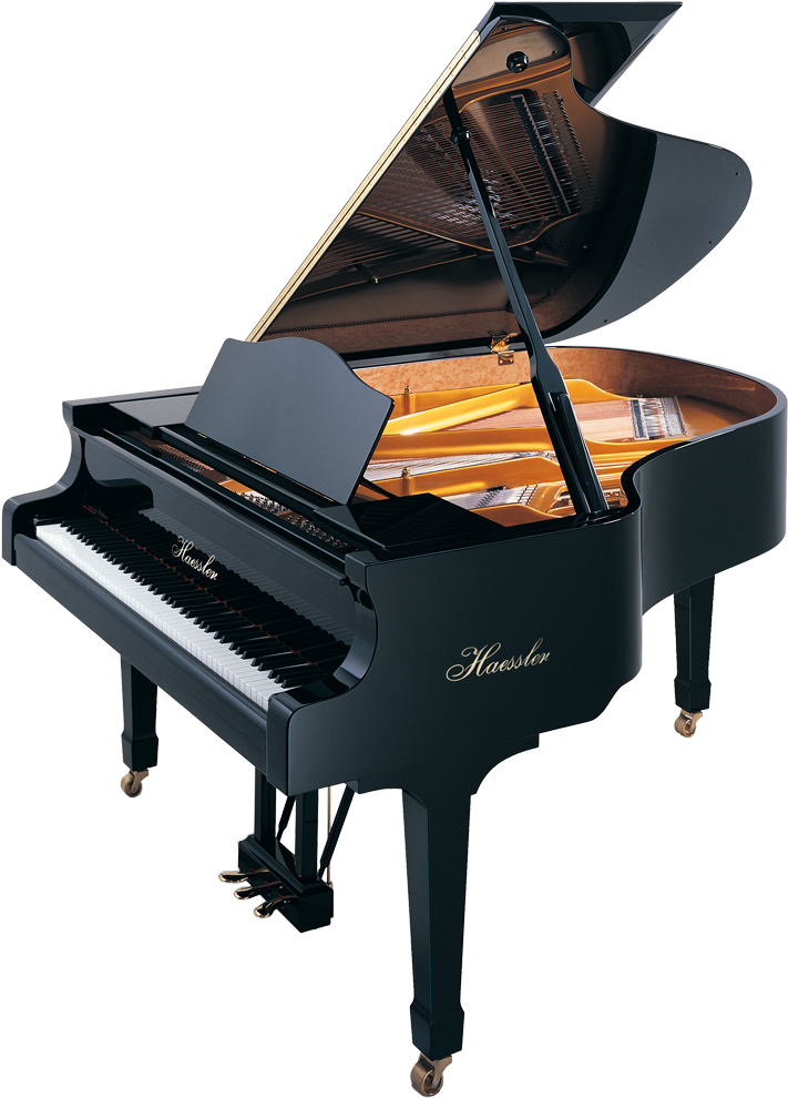 Haessler Model 175 Grand Piano Florida Haessler Model - Piano (800x1064)
