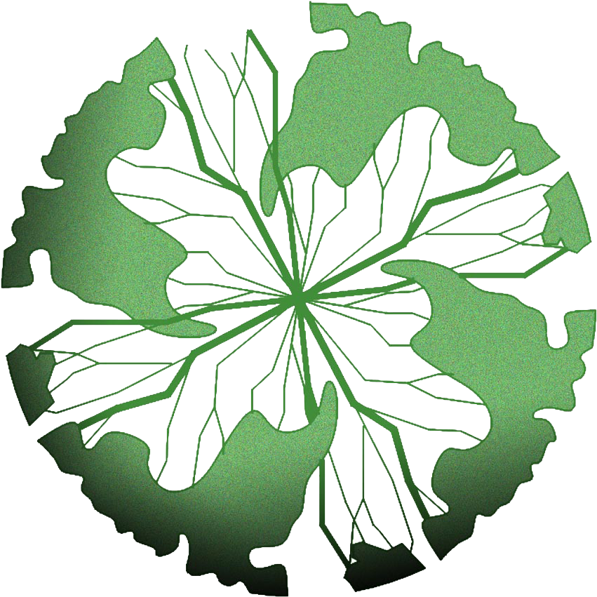 Family Tree Templates And Examples - Architectural Tree In Plan Png (900x900)