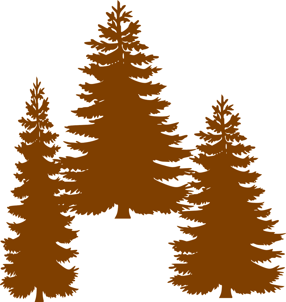 Pine Fir Tree Evergreen Clip Art - Tall Pine Tree Silhouette (1211x1280)